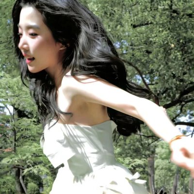 都柏林动物 海报