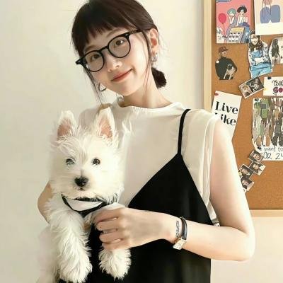 虾米小白鲸 海报